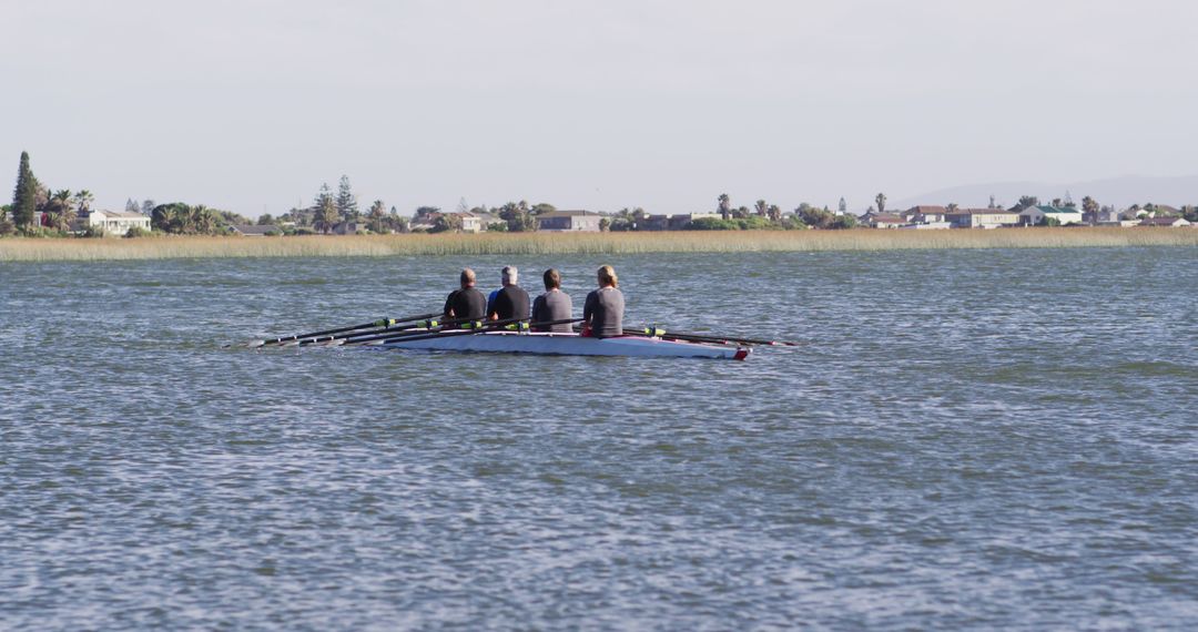 People Rowing in Calm Water on Sunny Day - Free Images, Stock Photos and Pictures on Pikwizard.com