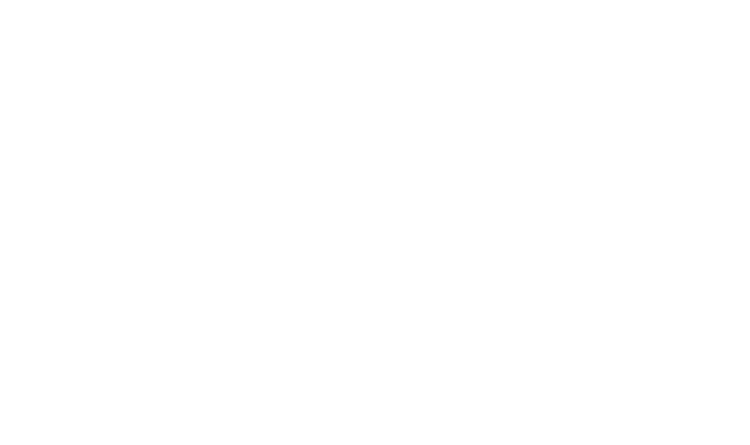 Transparent Shadow Silhouette of Male Fencers on Transparent Background Isolated - Download Free Stock Images Pikwizard.com