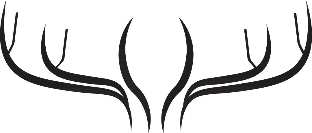 Transparent Vector Illustration Black Antlers Isolated Style