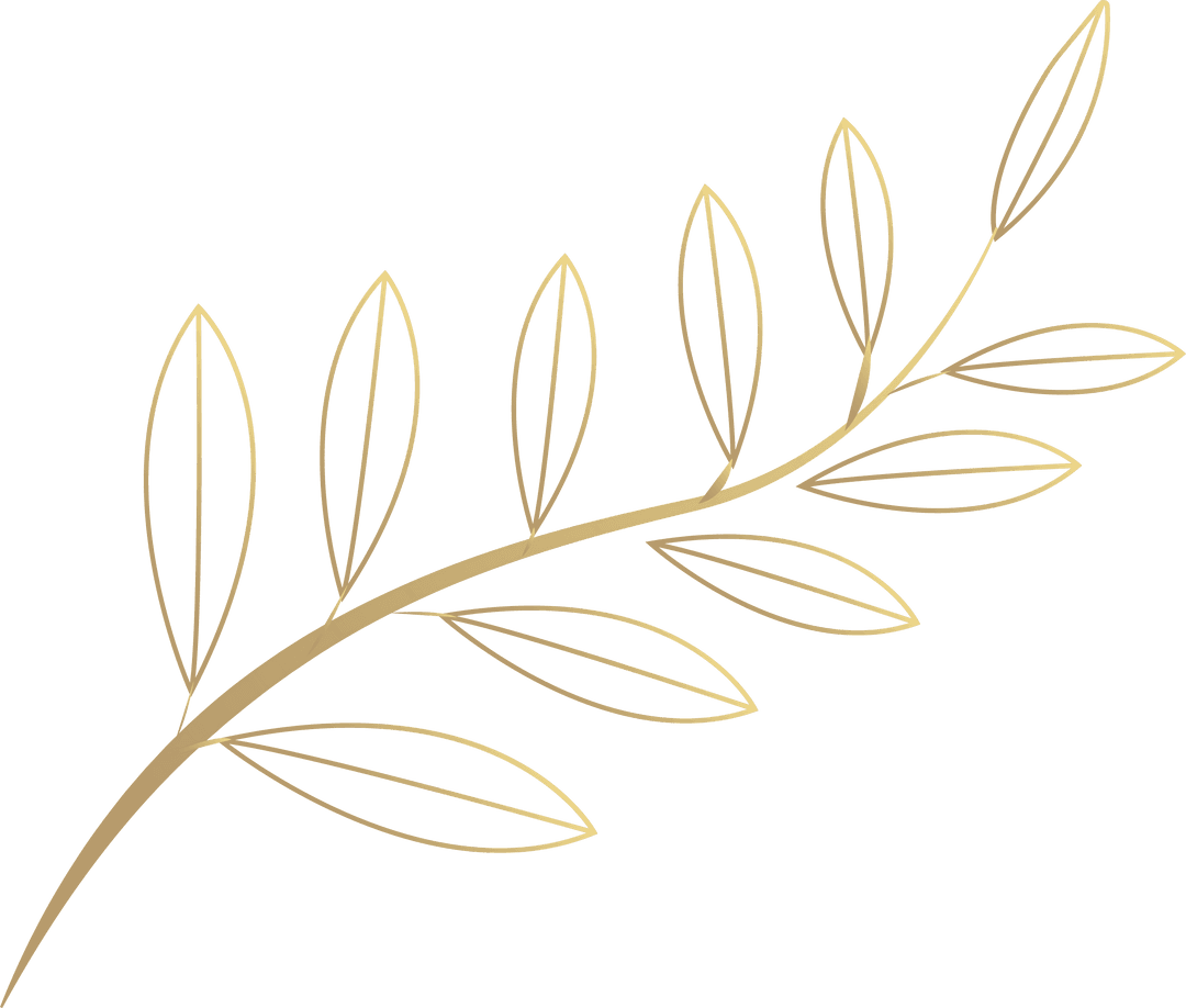 Golden Laurel Branch With Elaborate Leaf Outline on Transparent Background