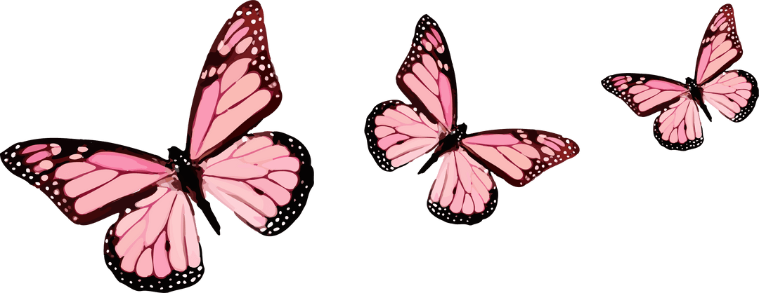 Pink Butterflies Floating with Grace on Transparent Background Illustration