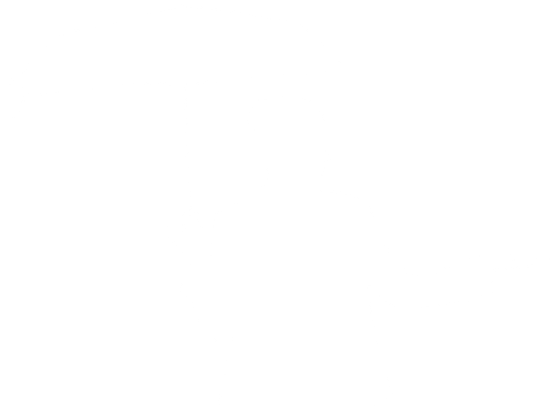 Woman Holding Umbrella Silhouette Vector on Transparent Background - Download Free Stock Images Pikwizard.com