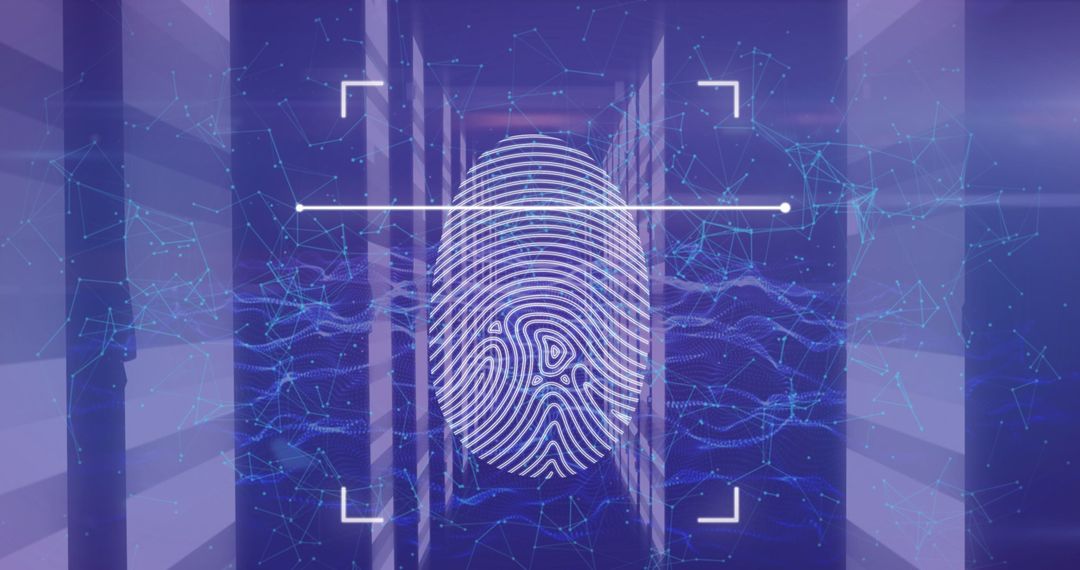 Digitized Fingerprint Overlay and Digital Network Concept