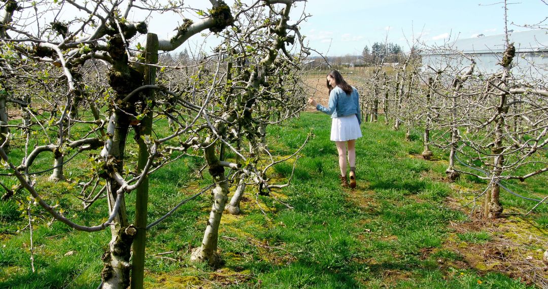 Girl Strolling in Serene Orchard with Dormant Trees