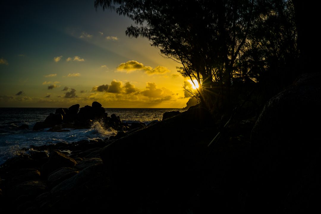 Golden Sunset Over Rocky Coastline with Trees in Silhouette - Free Images, Stock Photos and Pictures on Pikwizard.com