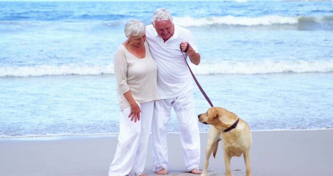 Senior Couple Walking Labrador on Beach - Free Images, Stock Photos and Pictures on Pikwizard.com