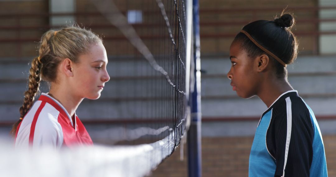 Two Female Volleyball Players Facing Off Across Net - Free Images, Stock Photos and Pictures on Pikwizard.com