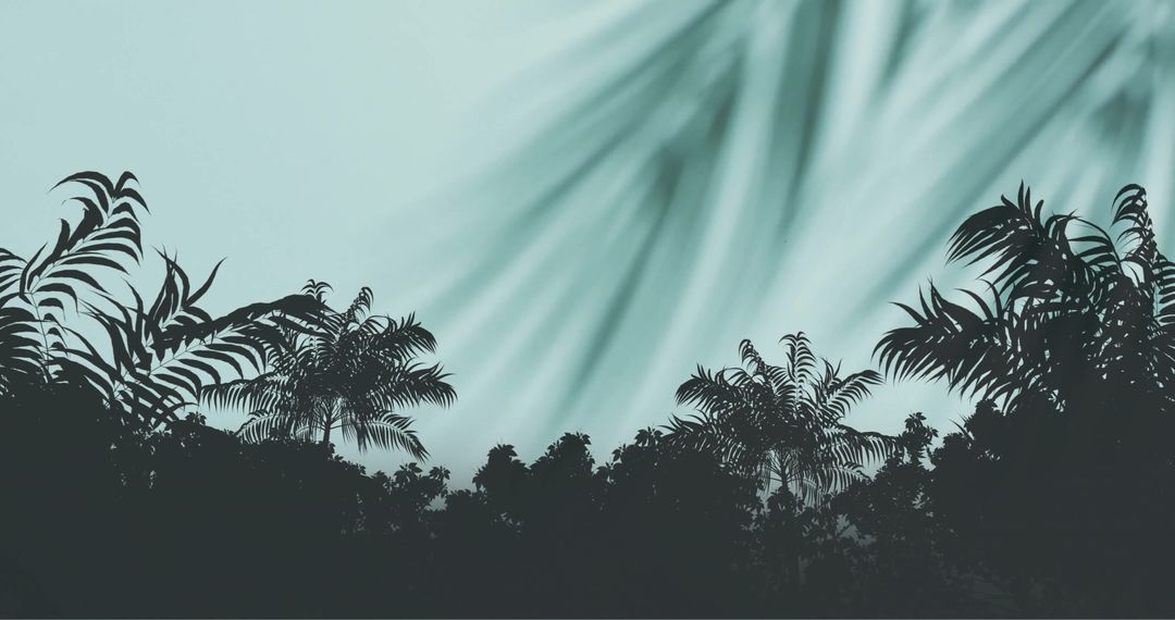 Silhouetted Palm Tree Branches Against Diffused Sky
