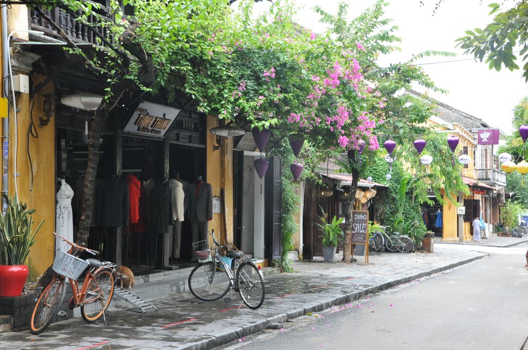 Charming Street in Hoi An Ancient Town - Free Images, Stock Photos and Pictures on Pikwizard.com