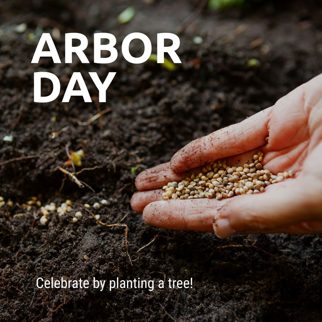Hands Holding Seeds for Arbor Day Planting Awareness