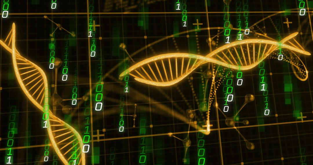 Golden DNA Helix with Streaming Binary Code and Molecular Grid for Bioinformatics Concept
