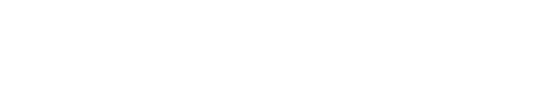 Intricate white circles pattern on transparent background