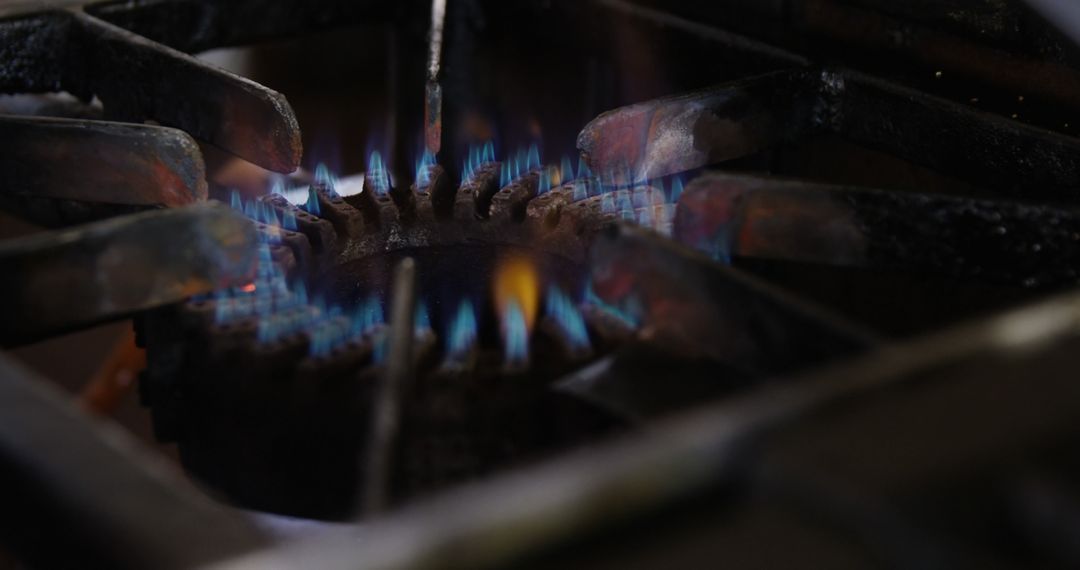 Close-Up of Glowing Blue Flame on Gas Stove - Free Images, Stock Photos and Pictures on Pikwizard.com