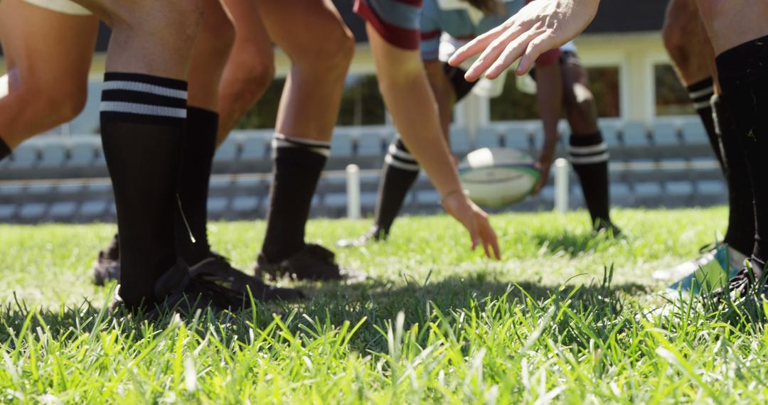 Close-Up of Rugby Players in Action on Sunny Field - Free Images, Stock Photos and Pictures on Pikwizard.com