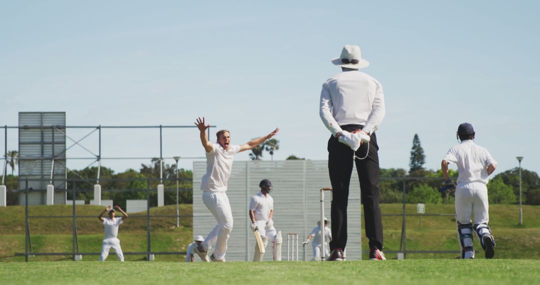 Cricketer Celebrating Wicket During Match on Field - Free Images, Stock Photos and Pictures on Pikwizard.com