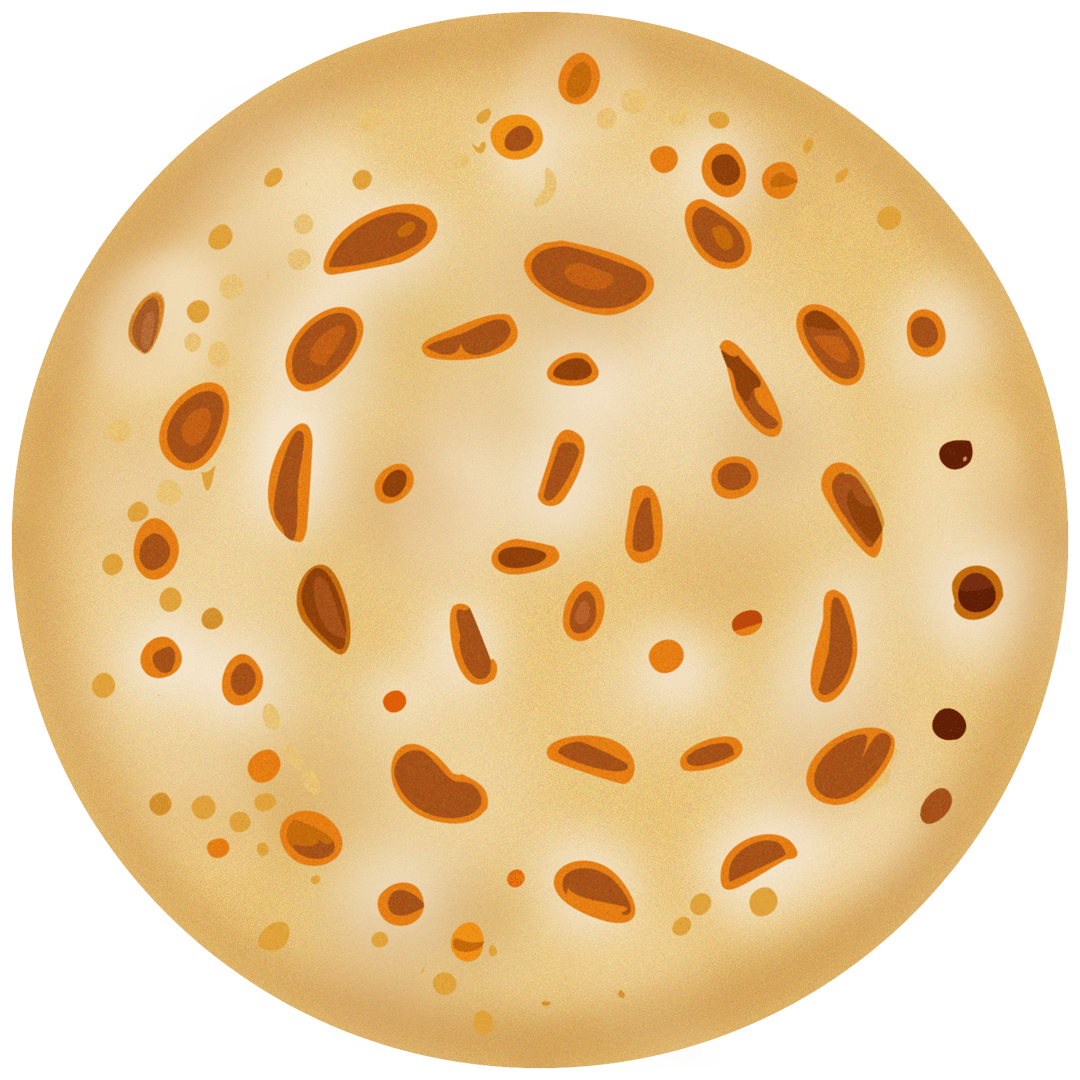 Rustic Seed Flatbread with Transparent Background Ideal for Food Packaging