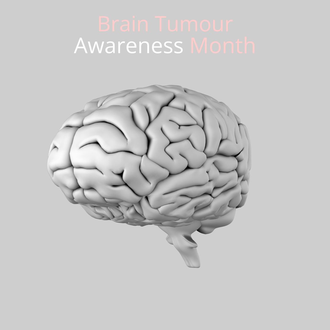 3D Brain Model for Brain Tumour Awareness Campaign