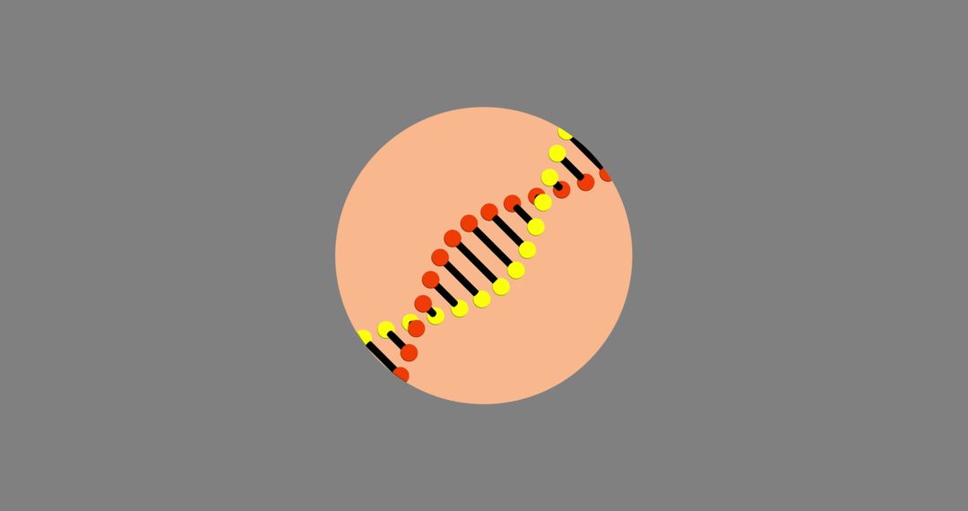 Abstract Rotating DNA Icon on Grey Background