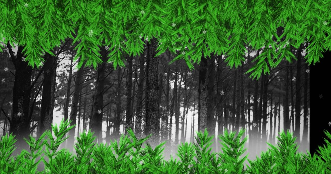Green Branches Frame Snowy Winter Forest with Falling Snowflakes