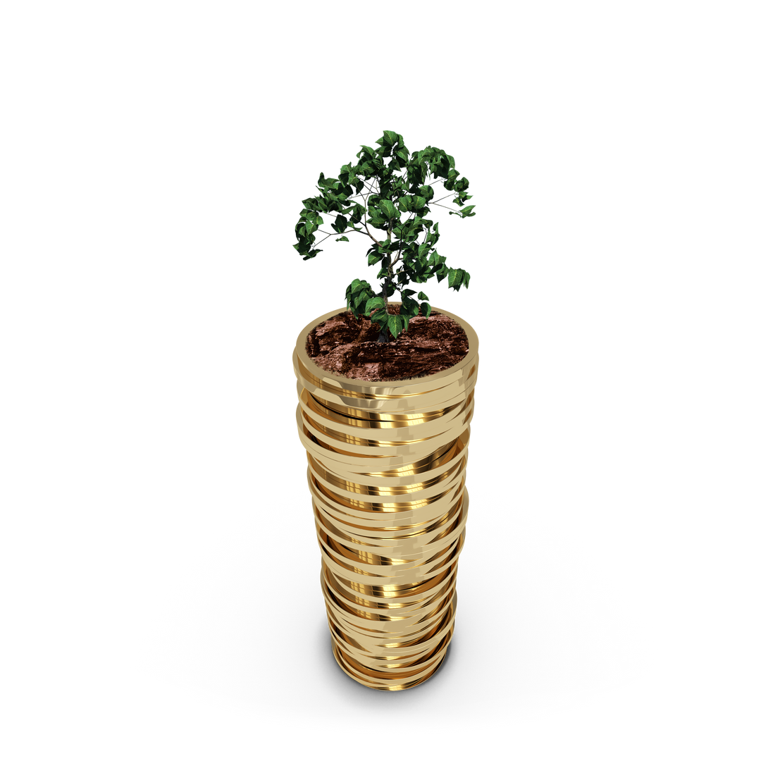 Transparent Plant Growing on Stack of Gold Coins - Download Free Stock Images Pikwizard.com