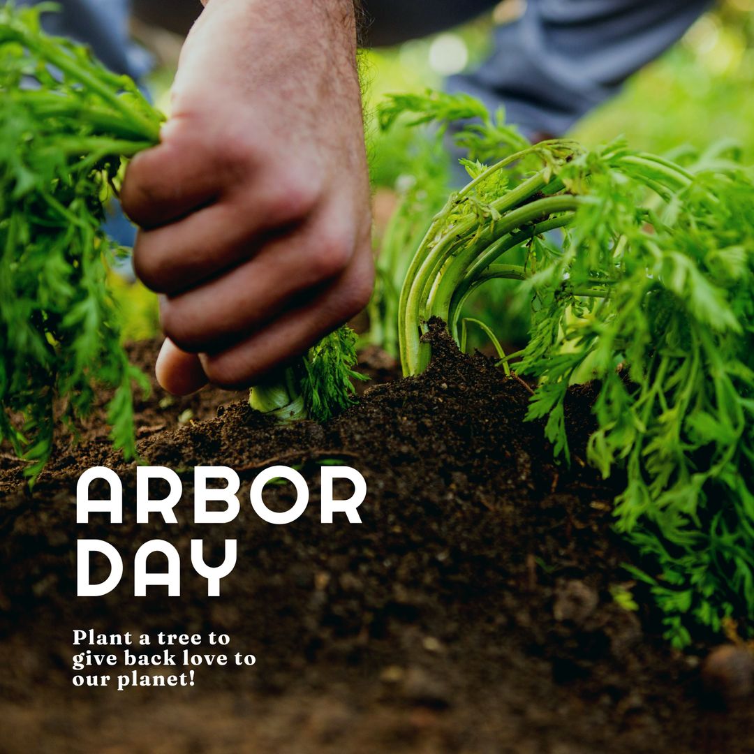 Man Planting Seedling in Garden for Arbor Day Celebration