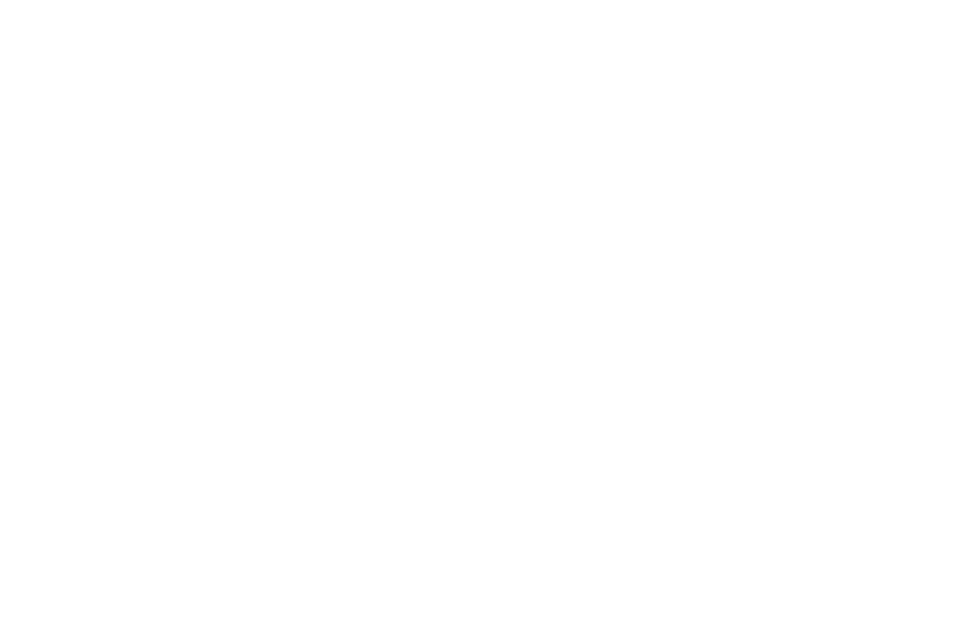 Complex Network of Connected Transparent Circles and Lines