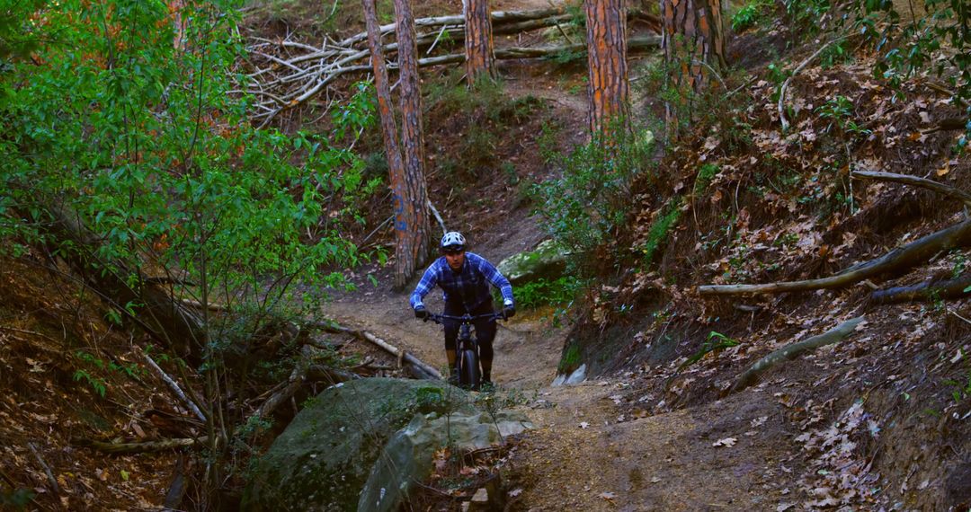 Mountain Biking Through Forest Trail - Free Images, Stock Photos and Pictures on Pikwizard.com