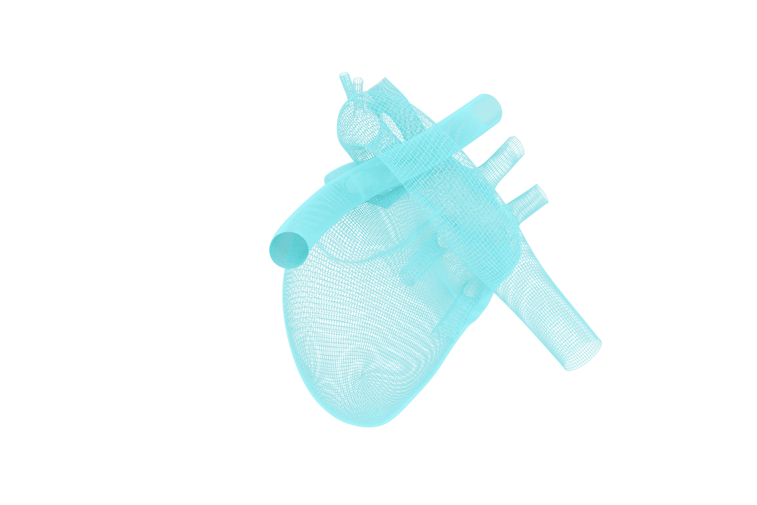 3D Transparent Digital Wireframe Heart on White Background