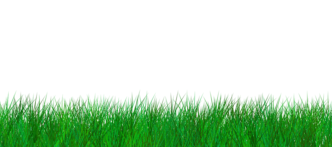 Lush Green Grass with Transparent Background for Creative Projects