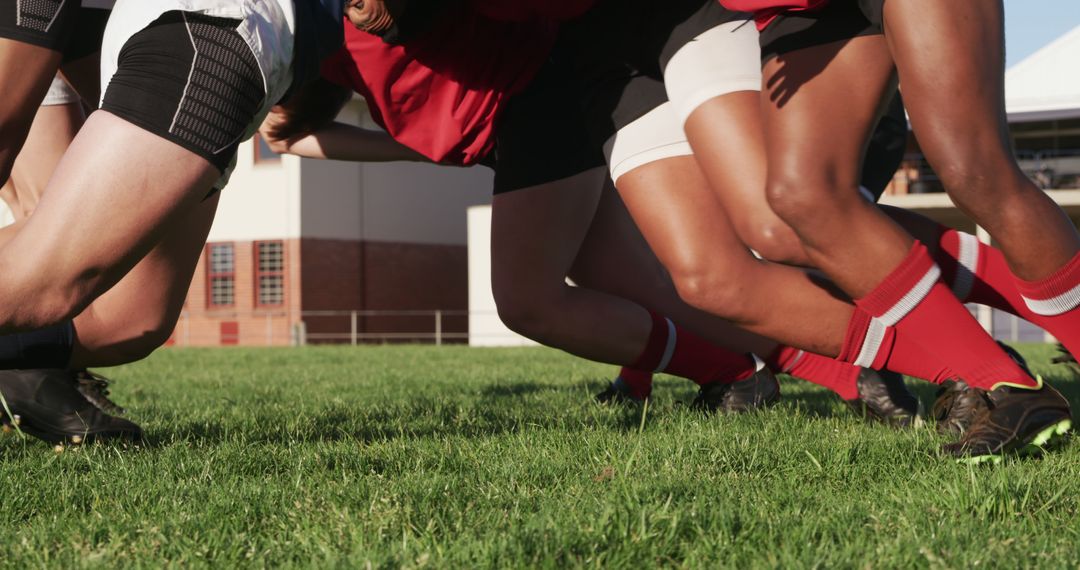 Rugby Players Engaged in Scrum Formation on Green Field - Free Images, Stock Photos and Pictures on Pikwizard.com