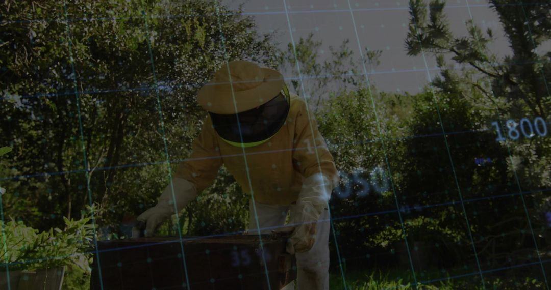 Elderly Beekeeper tending Hive With Digital Grid Overlay in Lush Garden