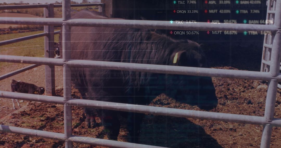 Livestock Monitoring on Fascinating Cattle Farm Setting