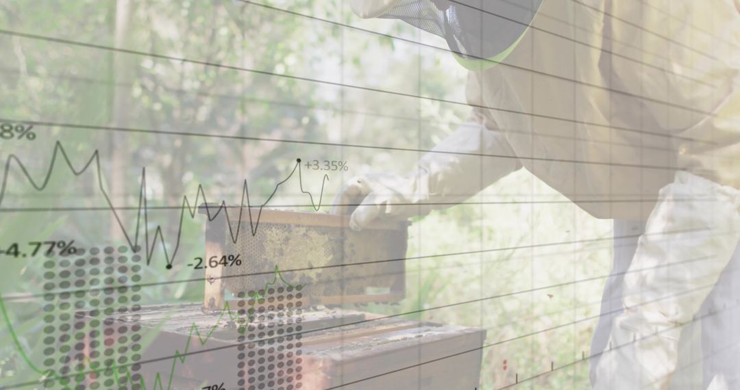 Bee Farming with Financial Growth and Investment Insight