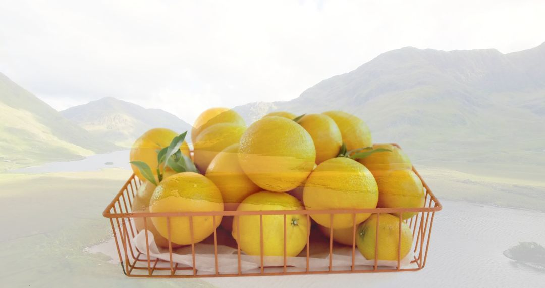 Copper Basket of Fresh Oranges with Scenic Mountain View
