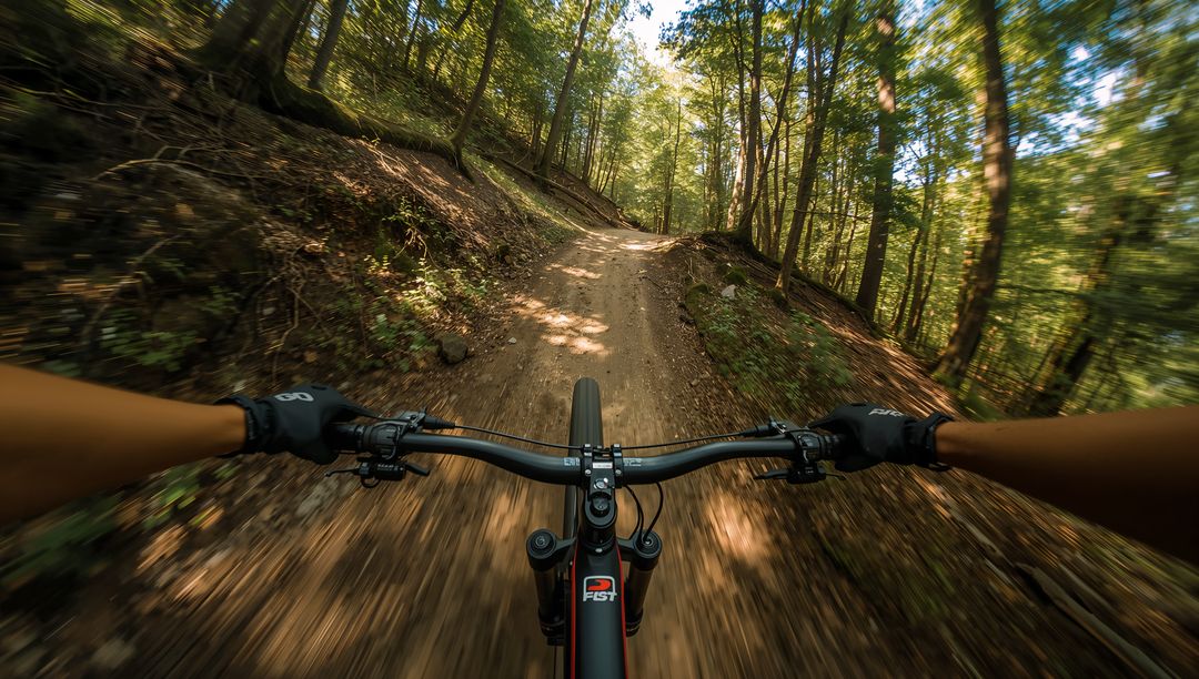 Mountain Biker's View on Dynamic Forest Trail Adventure