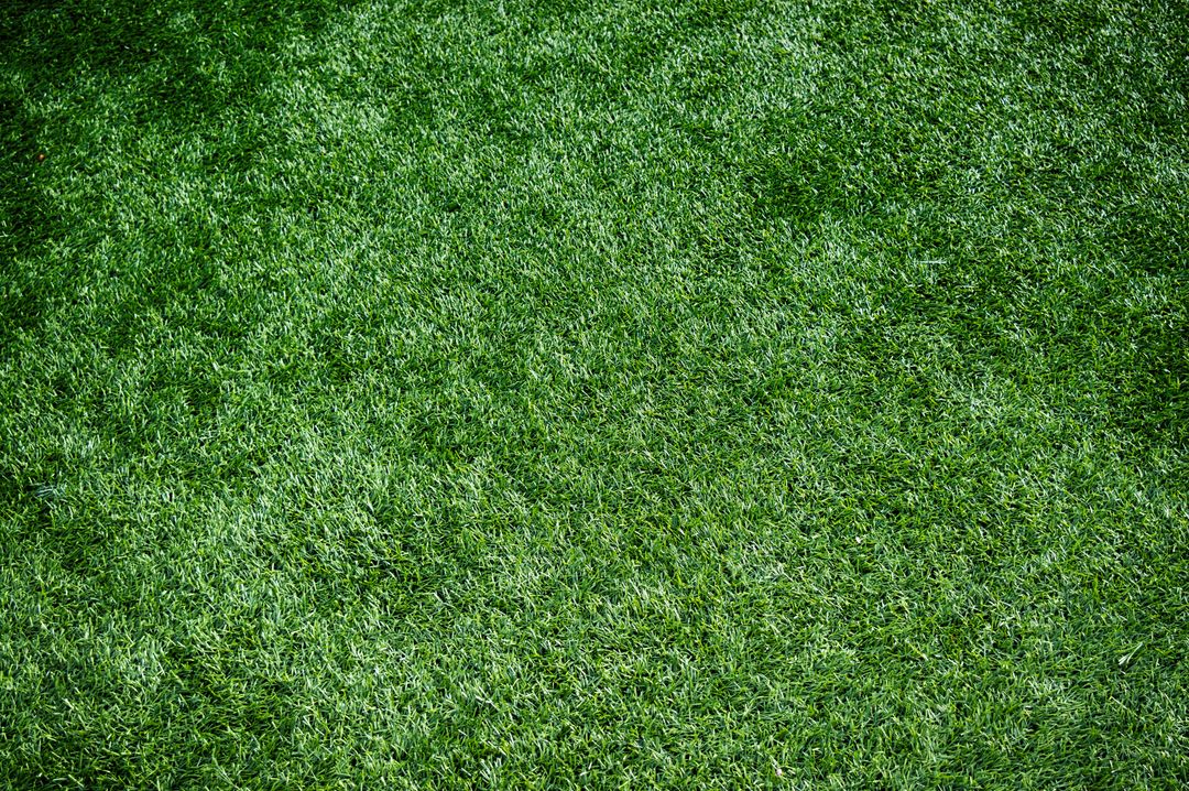 Full Frame Shot of Green Background - Free Images, Stock Photos and Pictures on Pikwizard.com