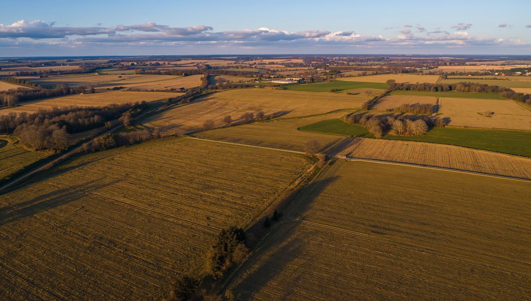 Golden-hour aerial farmland mosaic stretching across patchwork crop fields and hedgerows