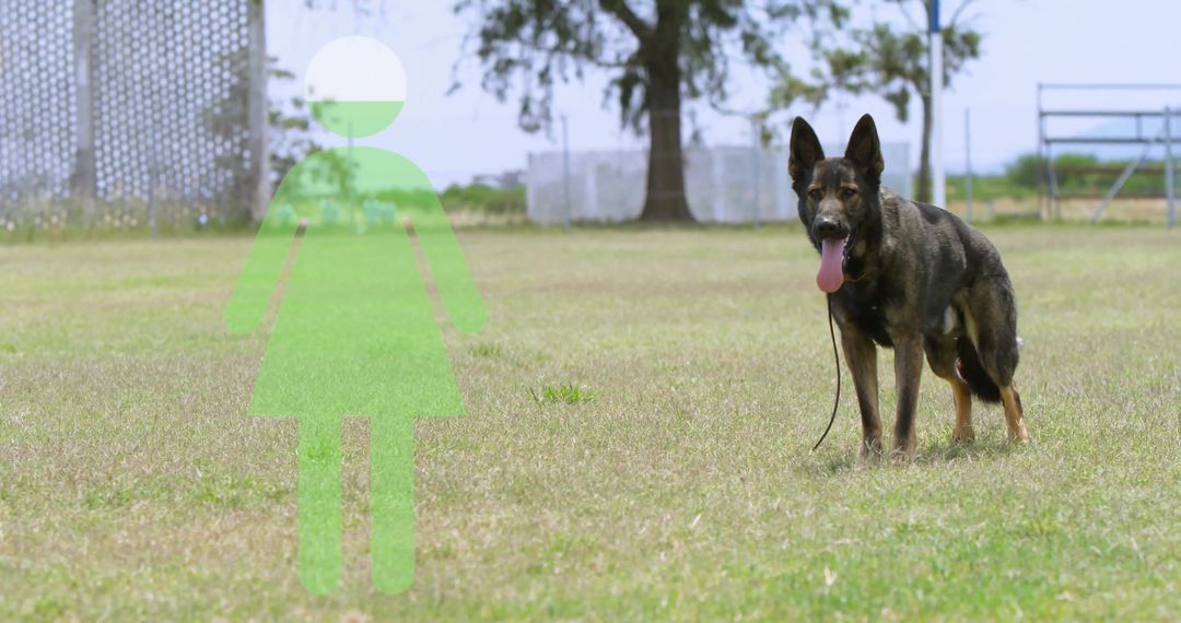 German Shepherd Panting in Field with Green Silhouette Icon Trees Background