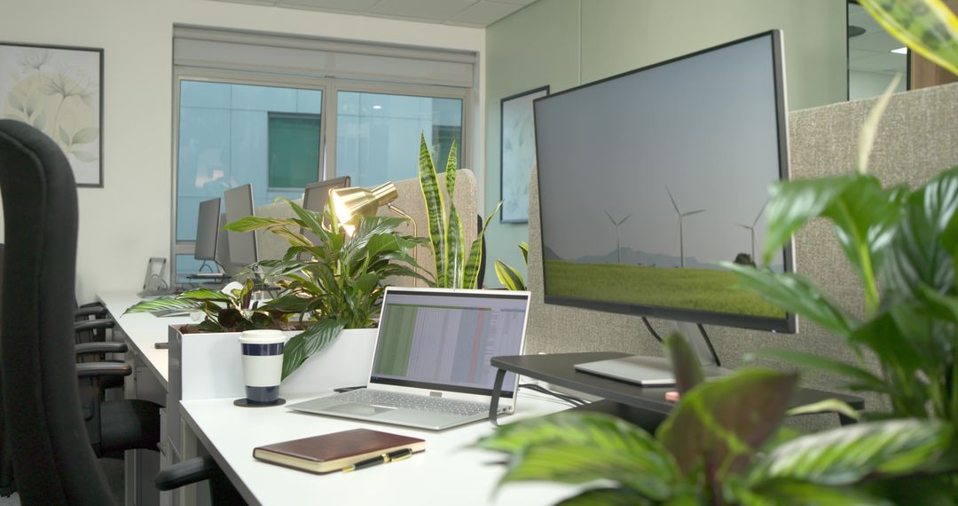 Modern Office Desk with Green Touches and Technology Accessibility