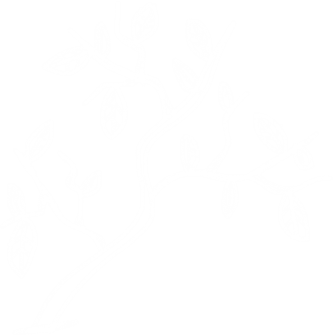 White Twig Design with Leaves on Transparent Background