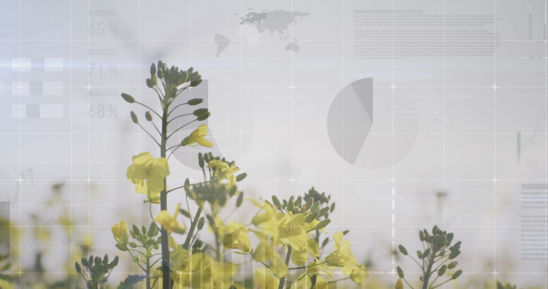 Mustard Flowers with Grid Overlay and Data Visualizations