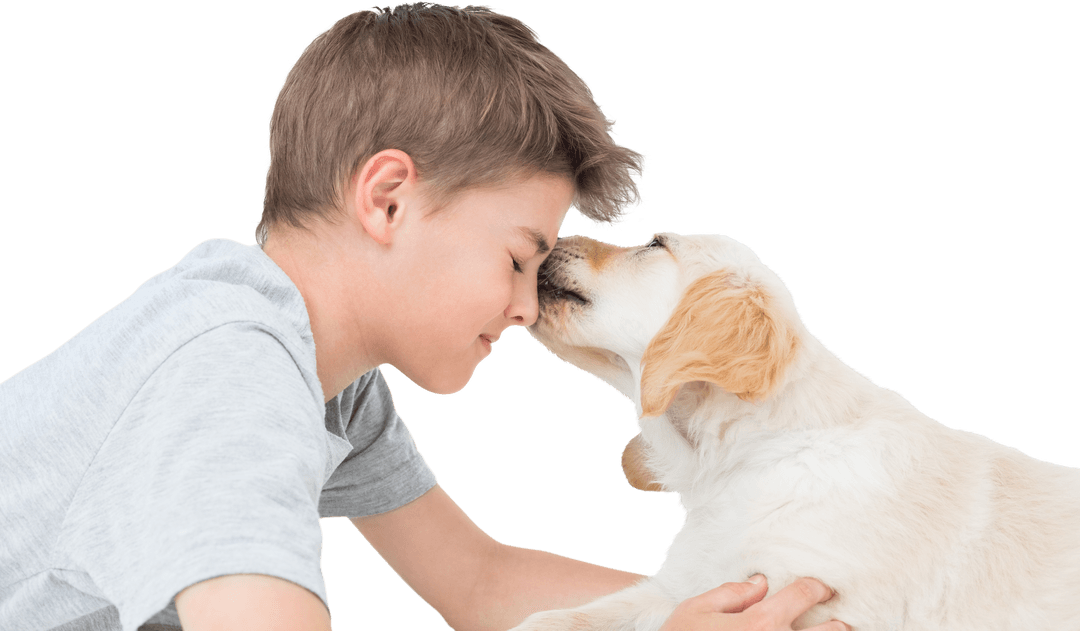 Cheerful Boy Interacting with Puppy in Transparent Setting