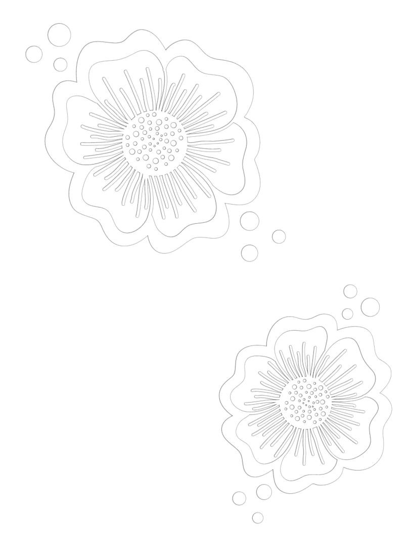 Vector Blossoms Floating on Transparent Background