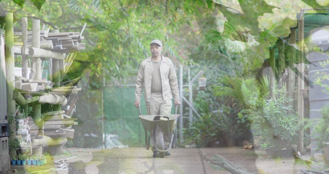Senior Man with Wheelbarrow in Lush Garden Setting