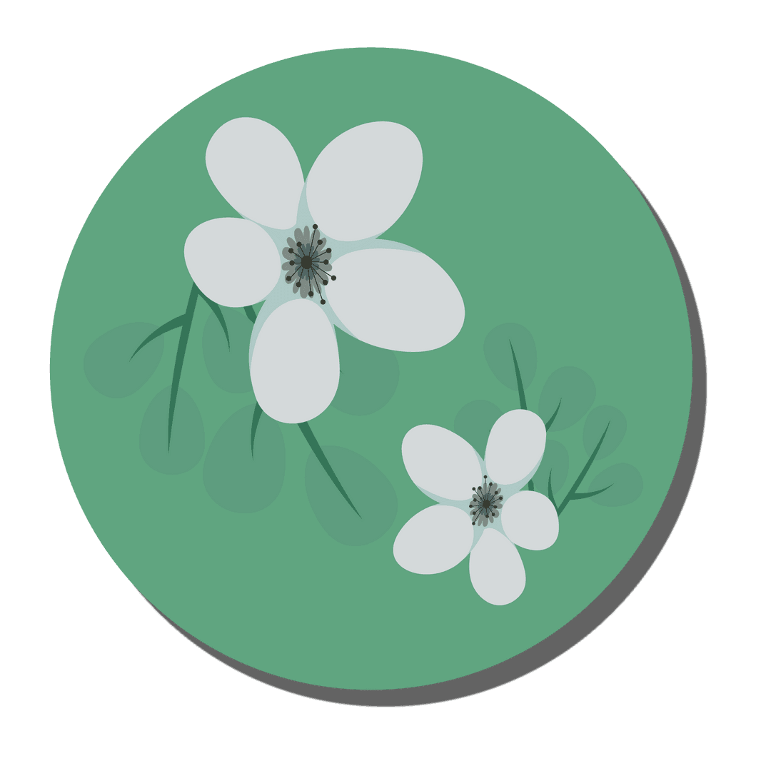 Minimalist White Flowers on Green Circle with Transparent Background