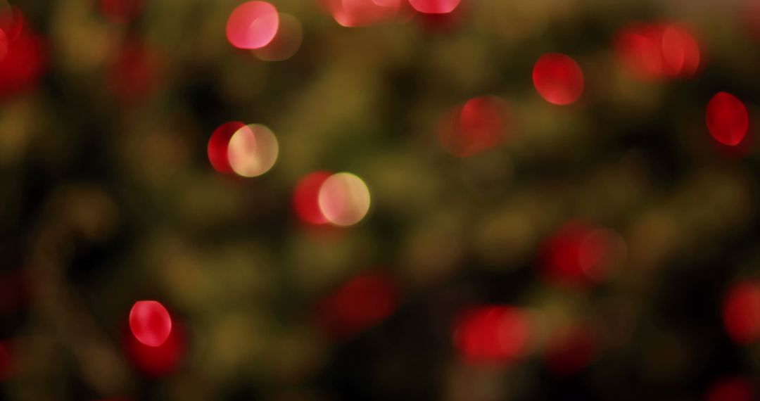 Bright Red and Green Bokeh of Christmas Lights