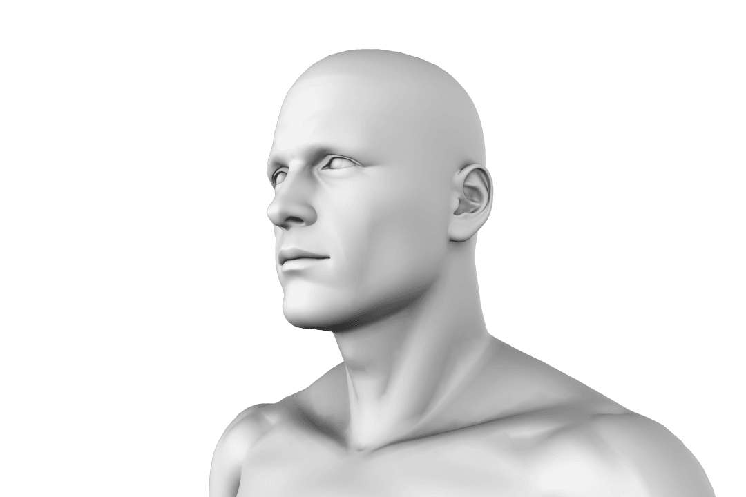 Transparent 3D Male Model Looking Upward on White Background