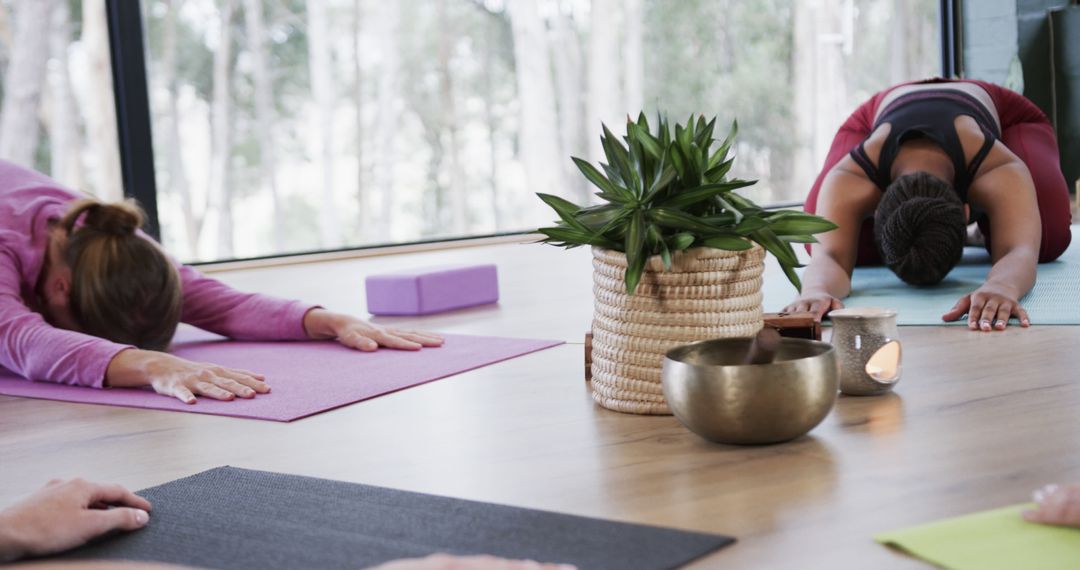 Two women practicing yoga in class with calming decor - Free Images, Stock Photos and Pictures on Pikwizard.com