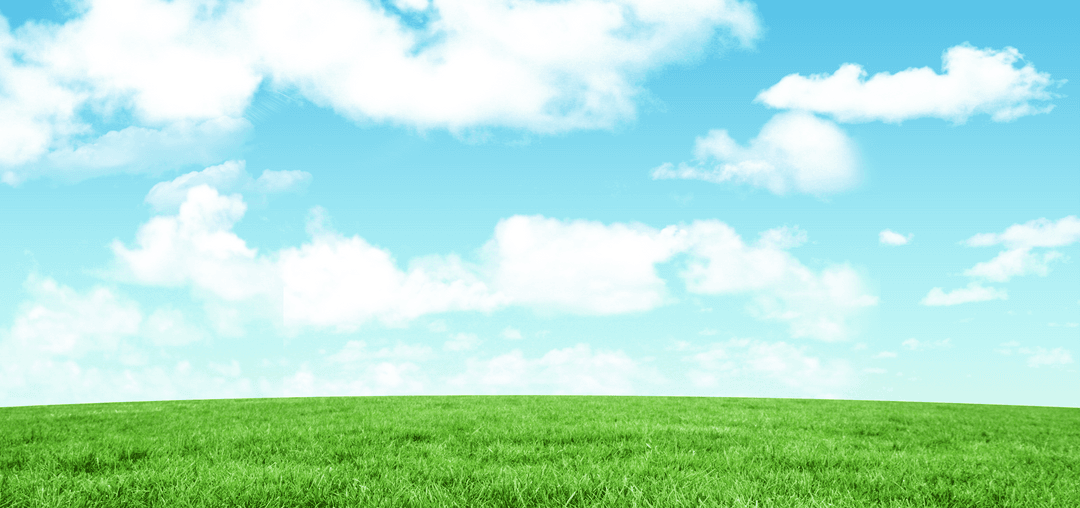 Transparent Scenic Meadow with Blue Sky and Clouds