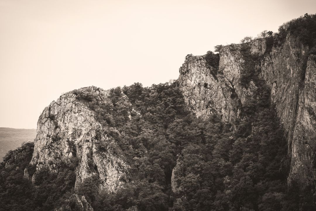 Dramatic Mountain Cliffs with Dense Forest in Black and White - Free Images, Stock Photos and Pictures on Pikwizard.com